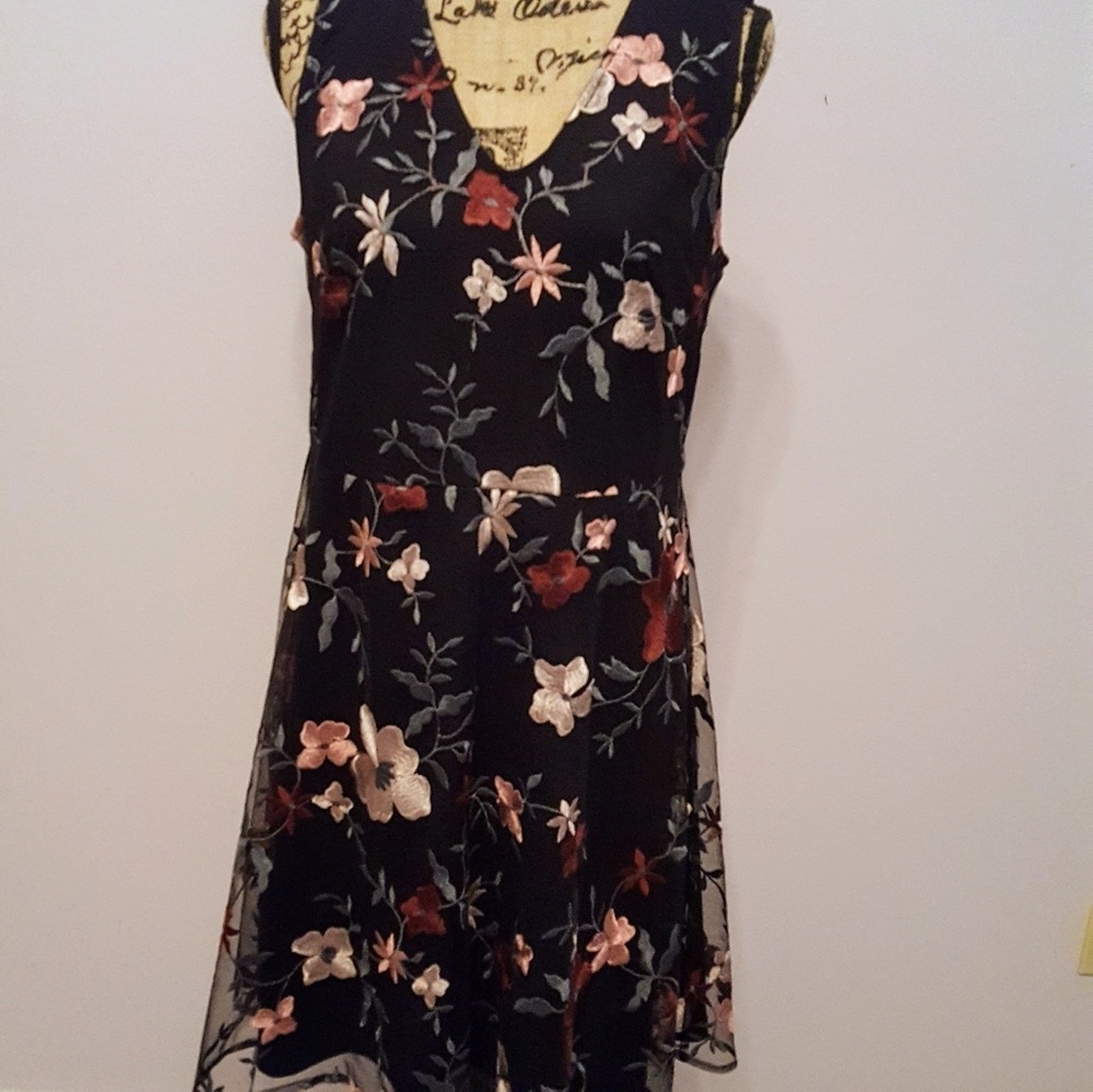 NWT Size 10 A-line embroidered sleeveless dress